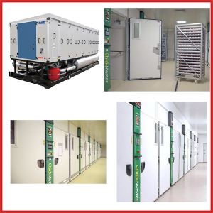 Hệ thống máy ấp trứng và nở trứng