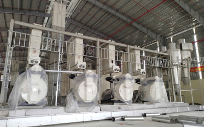Dự án hệ thống máy ép viên nén gỗ Biomass công suất 450–600 tấn/tháng