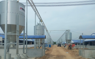 Phát Nghĩa cung cấp dịch vụ tư vấn, lắp đặt hệ thống trang trại chăn nuôi heo, gà chuyên nghiệp