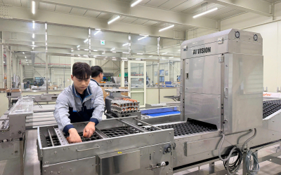 HỆ THỐNG PHÂN LOẠI VÀ ĐÓNG GÓI TRỨNG TỰ ĐỘNG – GIẢI PHÁP TỐI ƯU CHO TRANG TRẠI HIỆN ĐẠI