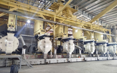 Dự án lắp đặt máy ép viên Biomass từ thương hiệu CPM