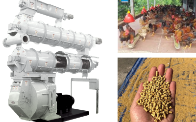 Máy ép viên cám gà hiện đại cho trang trại