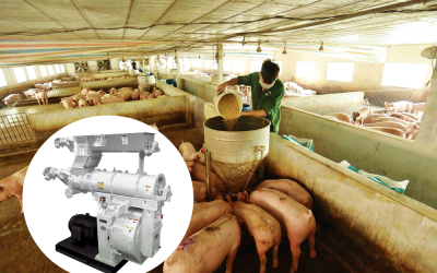 Máy ép cám viên cho lợn tiện lợi, nhanh chóng