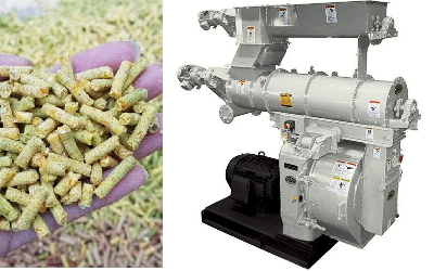 Máy ép cám viên khô: Bí quyết tự chủ nguồn thức ăn chăn nuôi, tối ưu lợi nhuận