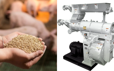 Máy ép viên thức ăn chăn nuôi công nghiệp tại Phát Nghĩa