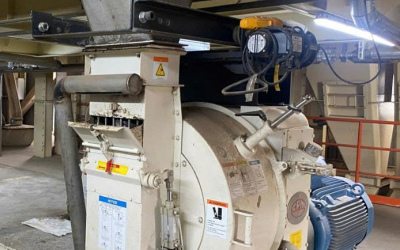 Máy Ép Cám Viên Công Suất Lớn – Giải Pháp Sản Xuất Thức Ăn Chăn Nuôi Hiệu Quả Cho Trang Trại & Nhà Máy