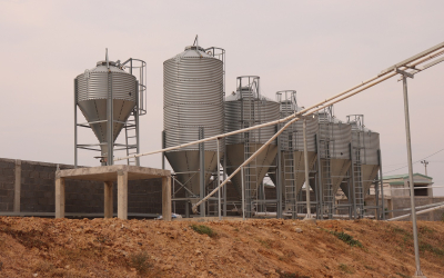 Silo chứa thức ăn chăn nuôi: Giải pháp lưu trữ hiện đại giúp tối ưu chi phí và nâng cao hiệu quả trang trại