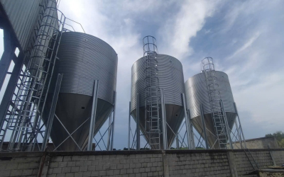 Silo tải cám là gì? Giải pháp lưu trữ và cấp cám tự động hiệu quả cho trang trại chăn nuôi