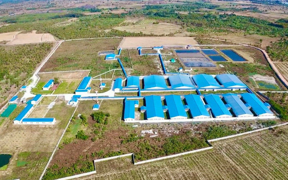 Cấp giấy phép xây dựng trang trại chăn nuôi: Quy định, thủ tục và lưu ý quan trọng