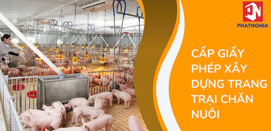 Cấp giấy phép xây dựng trang trại chăn nuôi: Quy định, thủ tục và lưu ý quan trọng