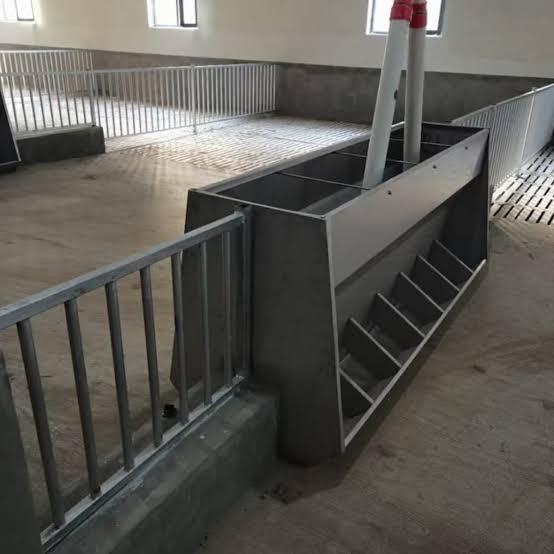 Chuồng sàn heo thịt: Cấu tạo, ưu điểm và tiêu chuẩn lựa chọn cho trang trại