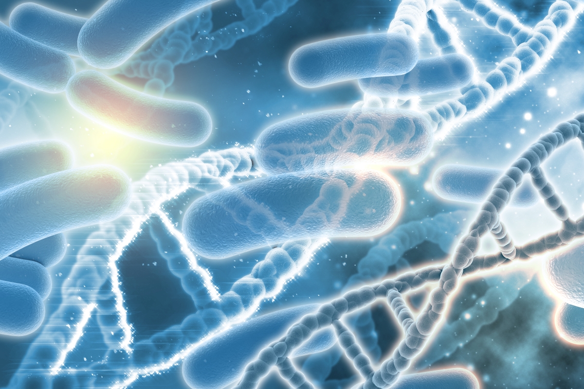 Dấu hiệu heo con bị E.coli: Nhận biết sớm để giảm thiệt hại cho trang trại