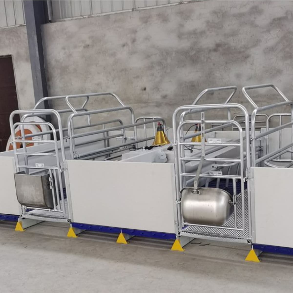 Diện tích chuồng heo nái bao nhiêu là phù hợp? Tiêu chuẩn thiết kế chuồng heo nái hiện nay