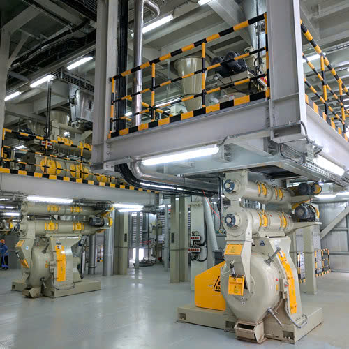 Hệ thống máy ép đùn thức ăn chăn nuôi Phát Nghĩa