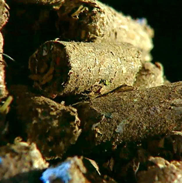 he-thong-may-ep-vien-biomass-1
