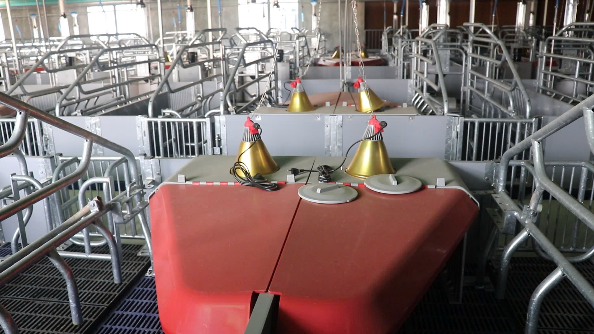 kích thước chuồng heo nái