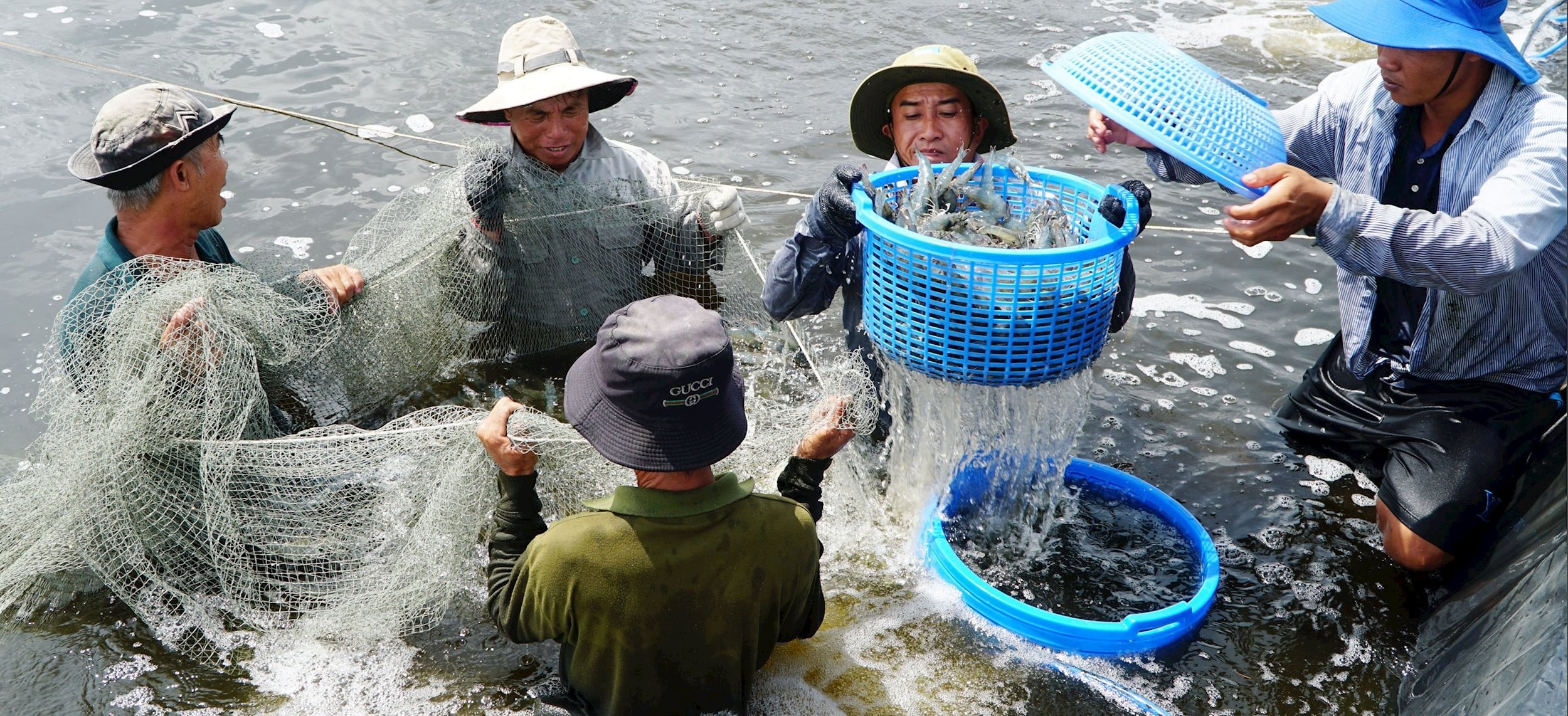 Máy Ép Viên Cám Nổi – Giải Pháp Sản Xuất Thức Ăn Thủy Sản Hiệu Quả, Tiết Kiệm, Công Suất Cao