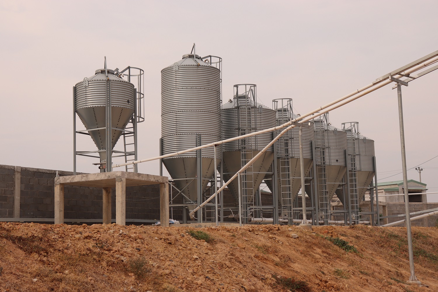 Silo chứa thức ăn chăn nuôi: Giải pháp lưu trữ hiện đại giúp tối ưu chi phí và nâng cao hiệu quả trang trại