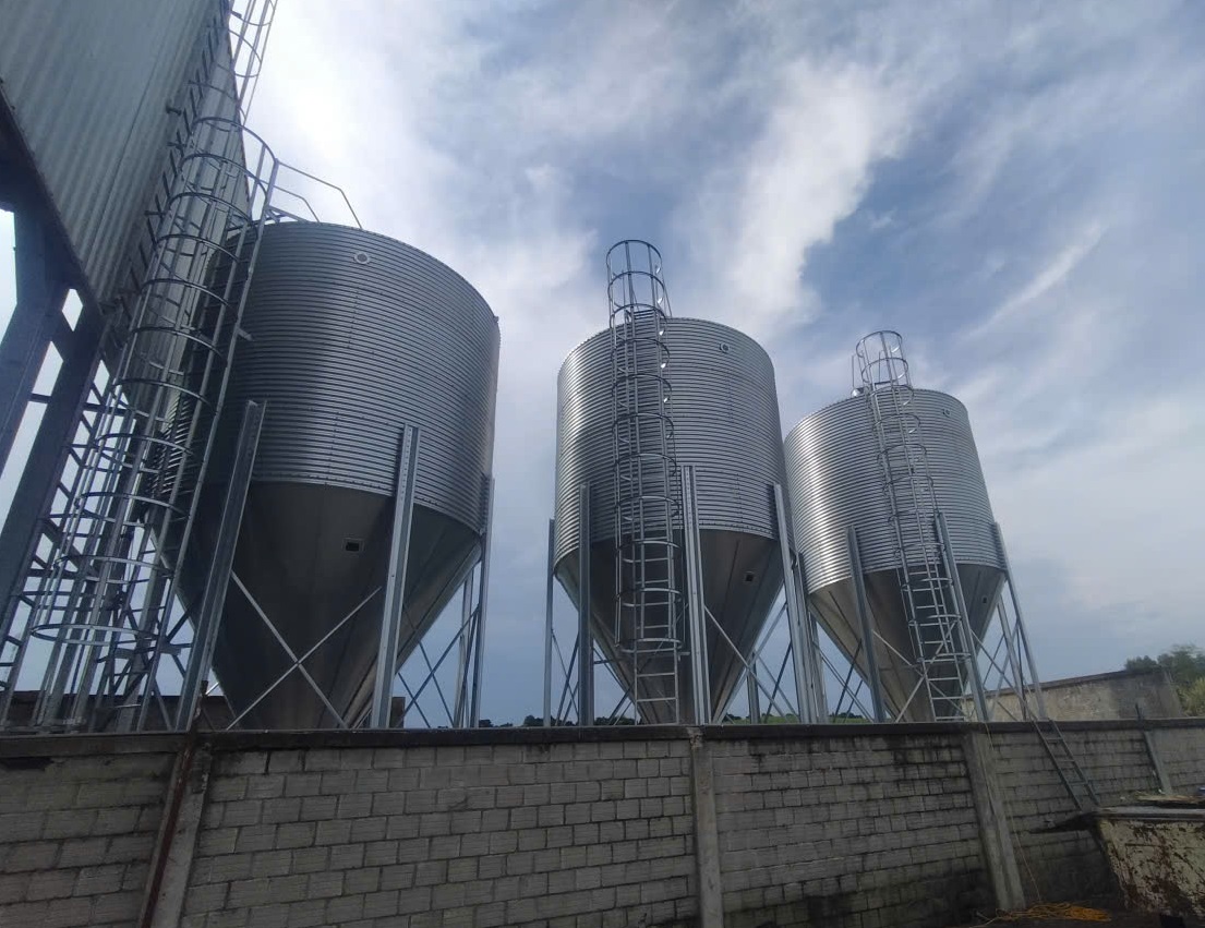 Silo tải cám là gì? Giải pháp lưu trữ và cấp cám tự động hiệu quả cho trang trại chăn nuôi