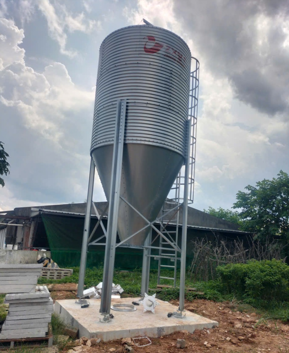 Silo tải cám là gì? Giải pháp lưu trữ và cấp cám tự động hiệu quả cho trang trại chăn nuôi