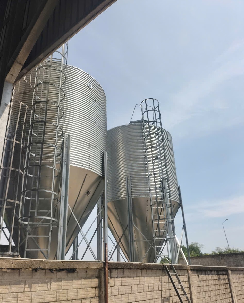 Silo tải cám là gì? Giải pháp lưu trữ và cấp cám tự động hiệu quả cho trang trại chăn nuôi