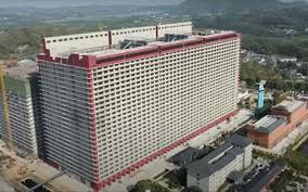 Trại heo 26 tầng – Giải pháp chăn nuôi hiện đại cho tương lai ngành heo Việt Nam