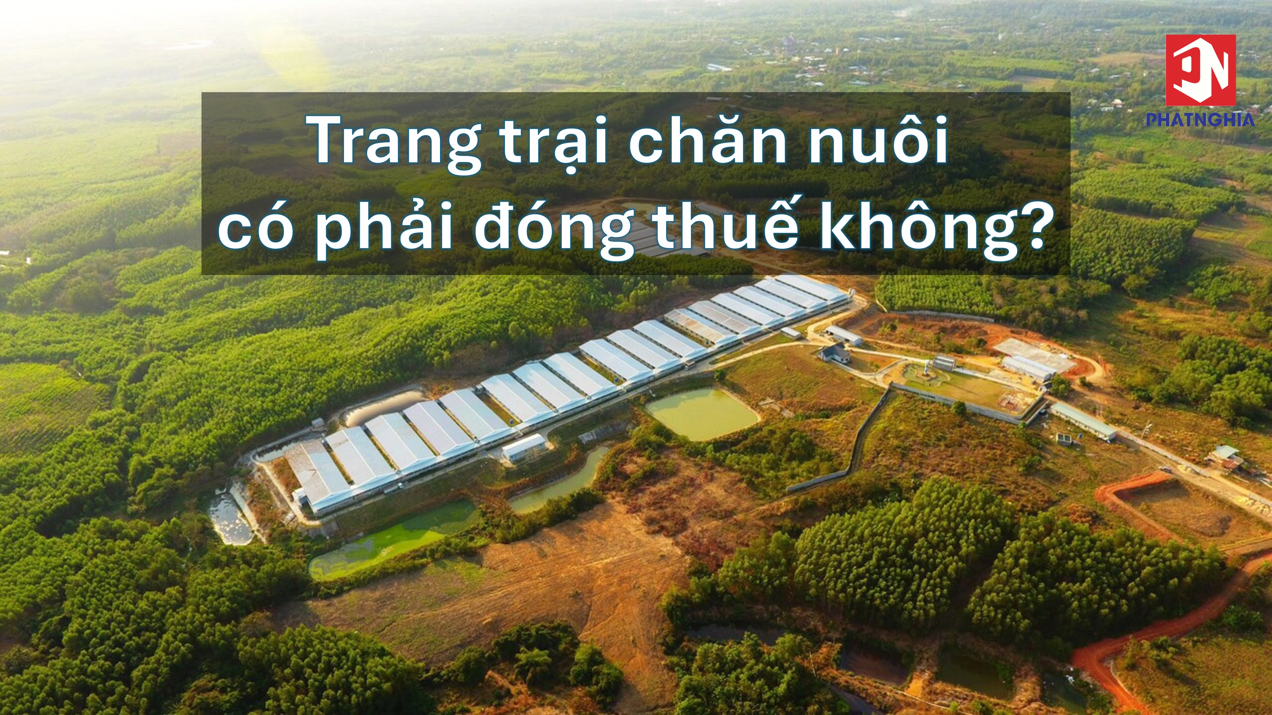 Trang trại chăn nuôi có phải đóng thuế không? Quy định chi tiết mới nhất năm 2025