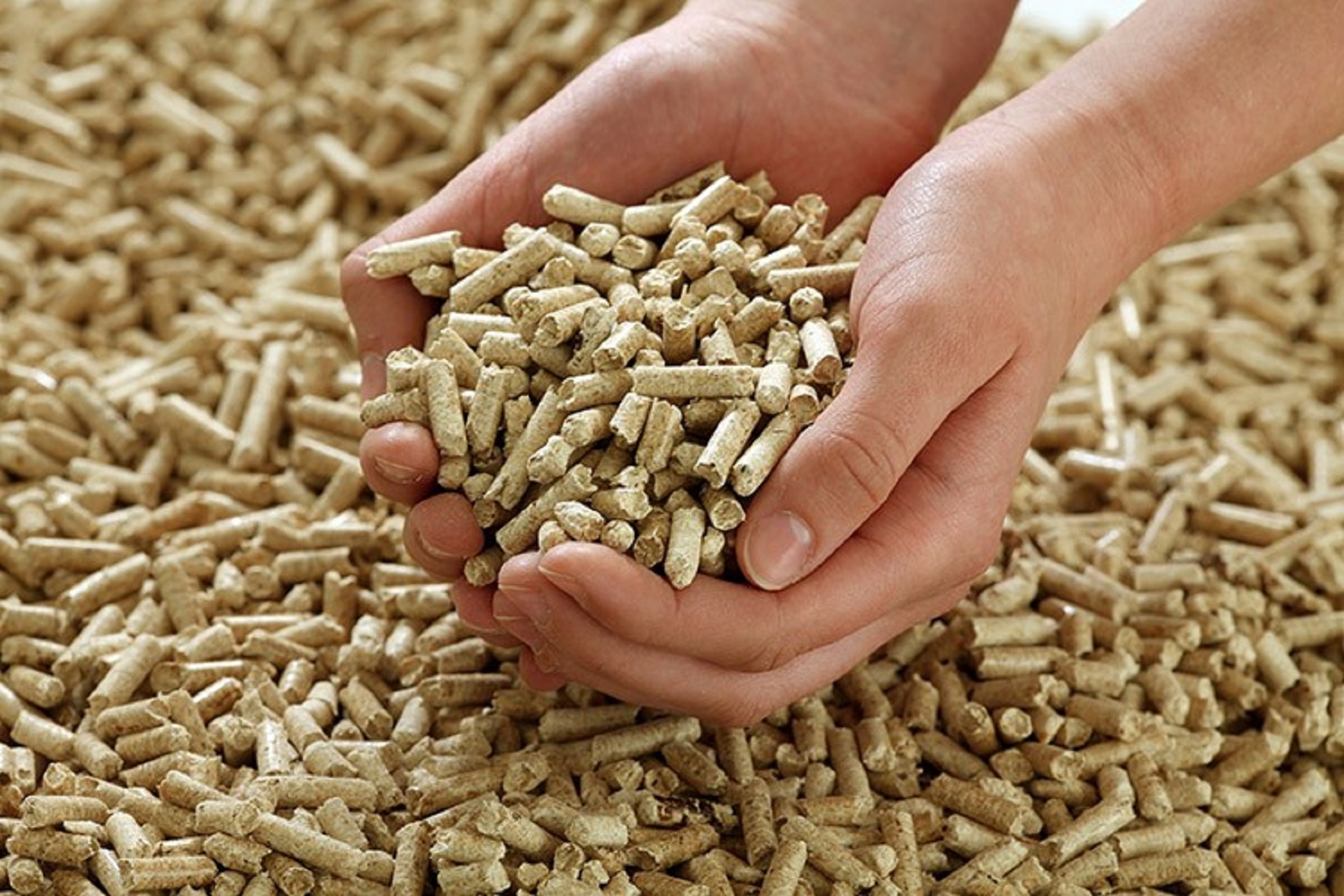 Nhiên liệu đốt viên nén biomass: Giải pháp tiết kiệm chi phí, bảo vệ môi trường
