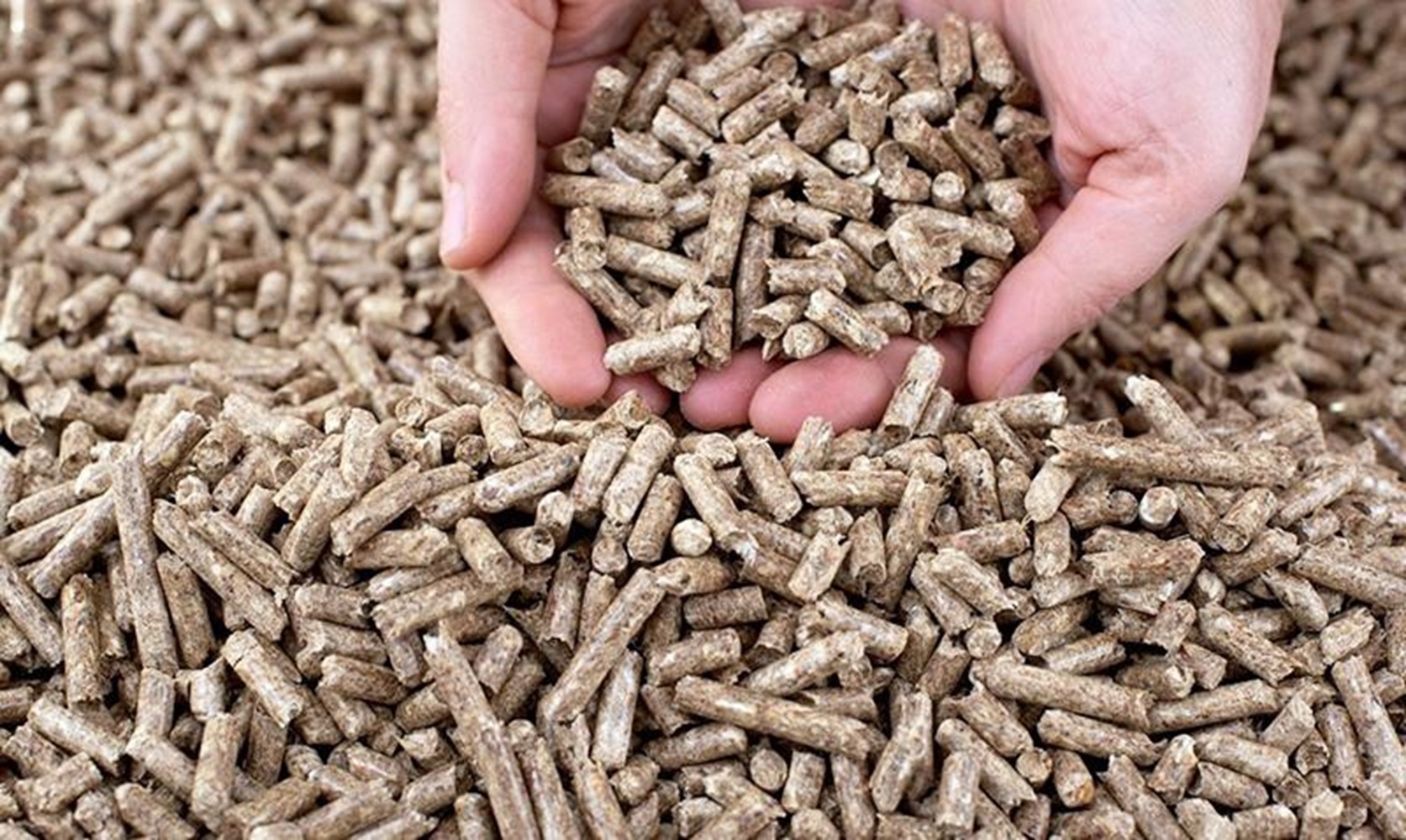Nhiên liệu đốt viên nén biomass: Giải pháp tiết kiệm chi phí, bảo vệ môi trường