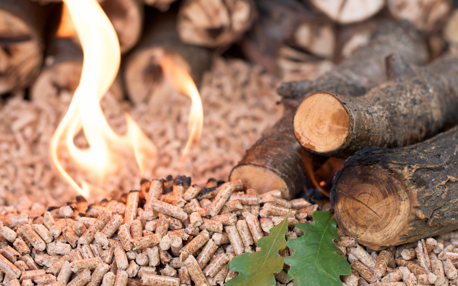 Nhiên liệu đốt viên nén biomass: Giải pháp tiết kiệm chi phí, bảo vệ môi trường