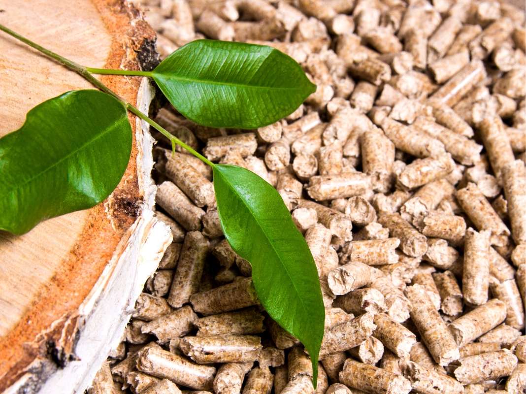 Nhiên liệu đốt viên nén biomass: Giải pháp tiết kiệm chi phí, bảo vệ môi trường