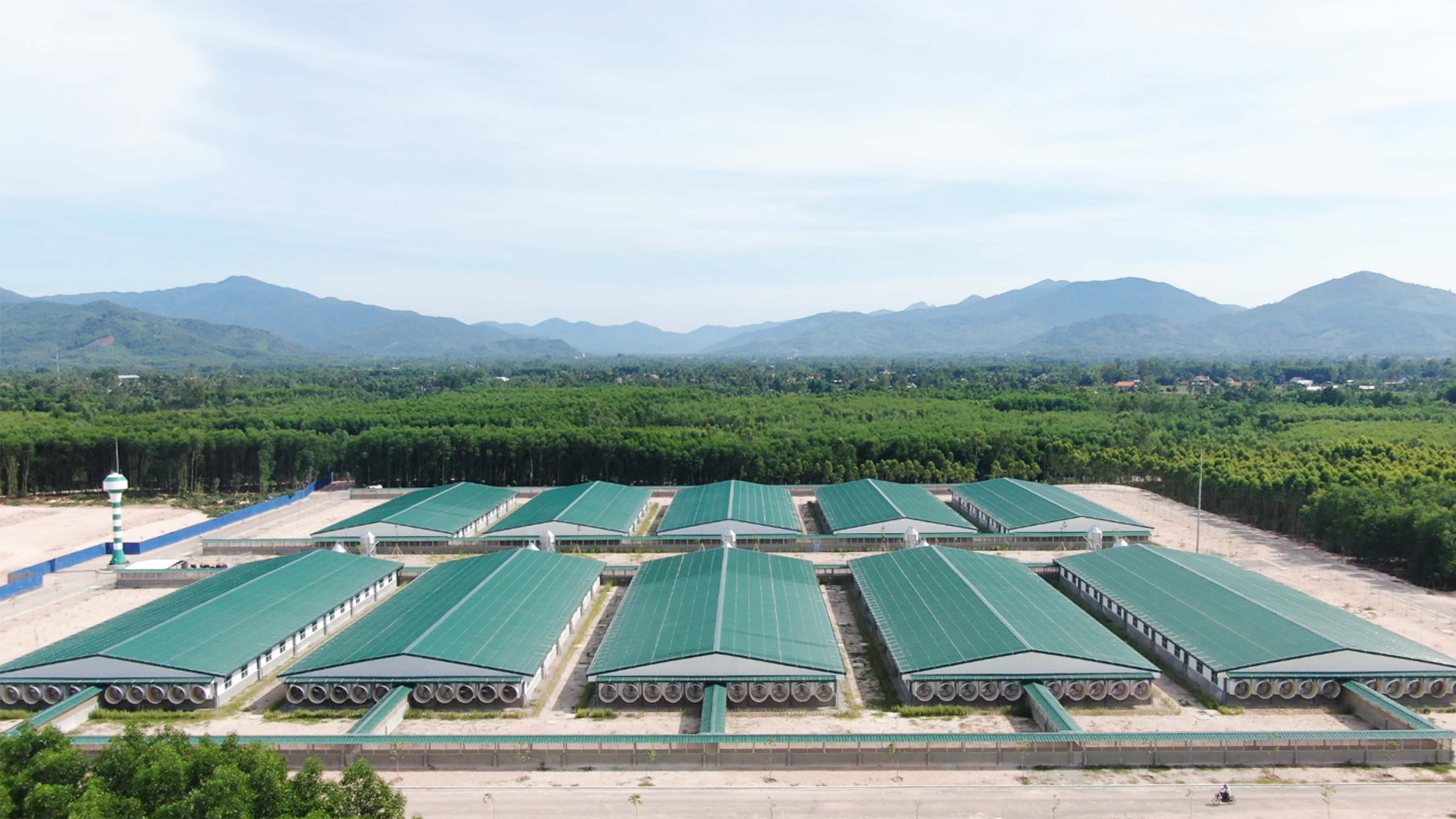 Cách xây dựng chuồng trại nuôi heo thịt quy mô công nghiệp hiệu quả, bền vững và tối ưu chi phí